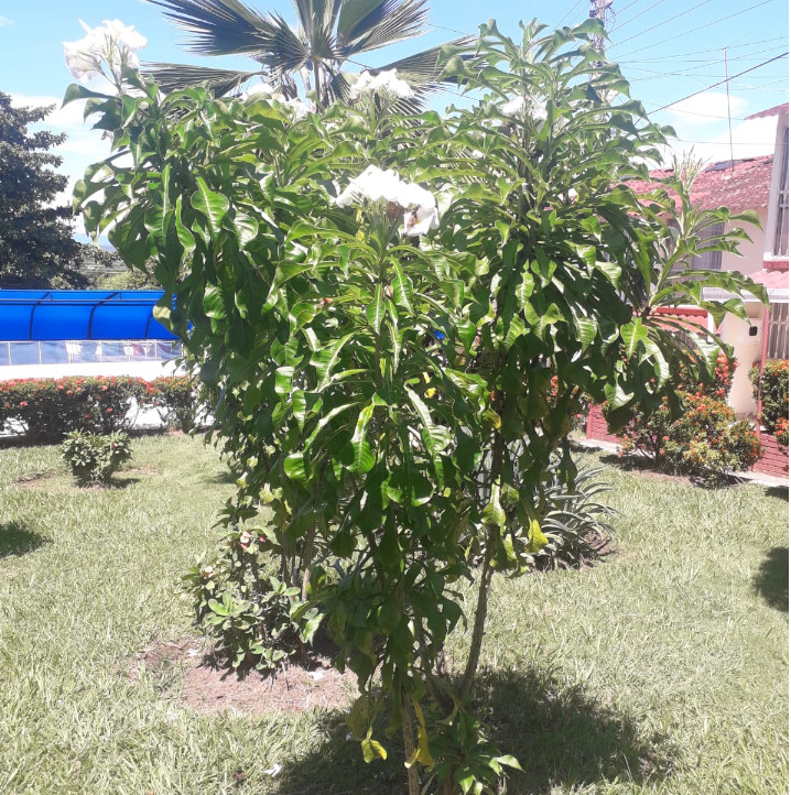 Jardines - Conjunto Residencial Bello Horizonte Etapa 3B