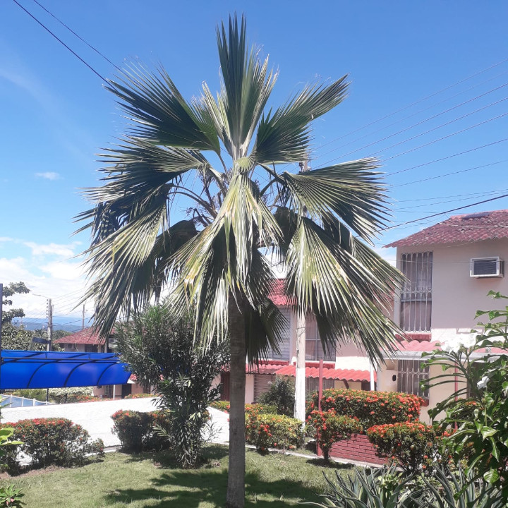 Jardines - Conjunto Residencial Bello Horizonte Etapa 3B