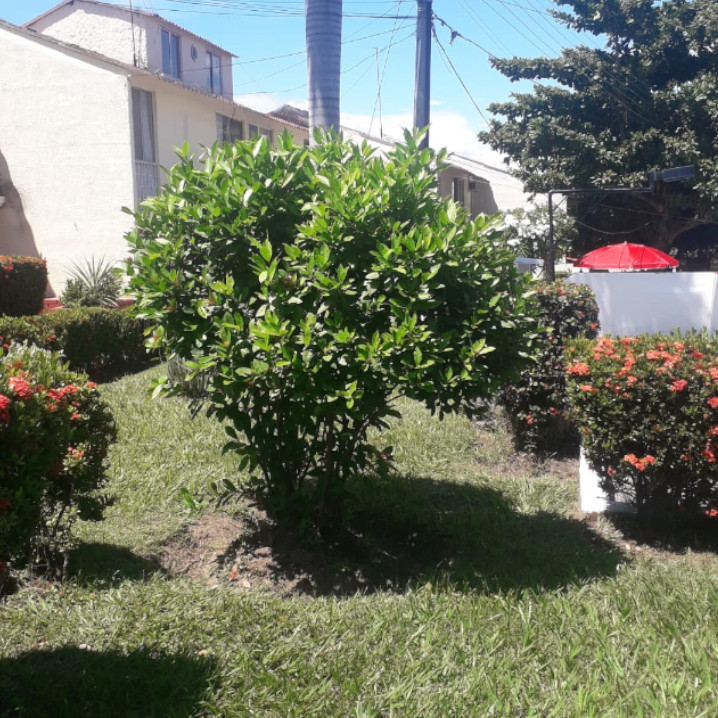 Jardines - Conjunto Residencial Bello Horizonte Etapa 3B