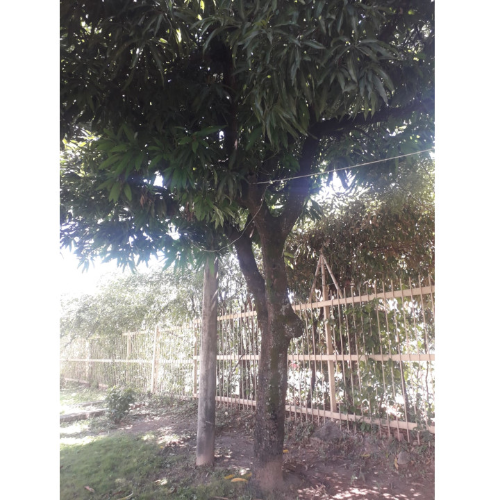 Senderos ecologicos - Conjunto Residencial Bello Horizonte Etapa 3B